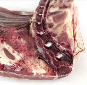 Kaltes Frischfleisch Verpackungspäckchen PA/PE Schrumpffilm PVDC Schrumpffilm und Beutel