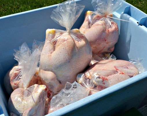 Kaltes Frischfleisch Verpackungspäckchen PA/PE Schrumpffilm PVDC Schrumpffilm und Beutel